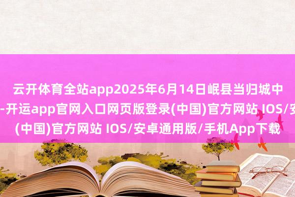 云开体育全站app2025年6月14日岷县当归城中药材交往市集价钱行情-开运app官网入口网页版登录(中国)官方网站 IOS/安卓通用版/手机App下载
