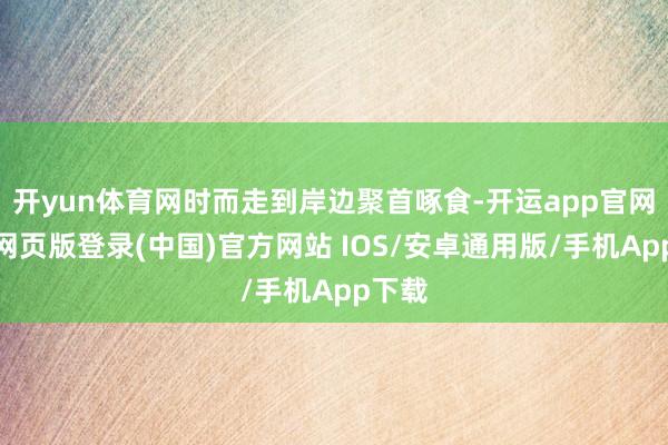 开yun体育网时而走到岸边聚首啄食-开运app官网入口网页版登录(中国)官方网站 IOS/安卓通用版/手机App下载